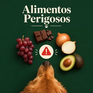 Alimentos Perigosos para o seu Cão