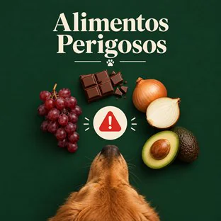 Alimentos Perigosos para o seu Cão