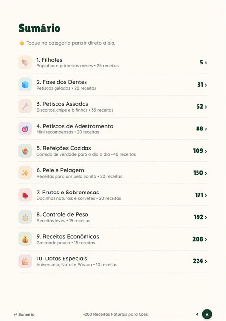 Sumário com as 10 categorias