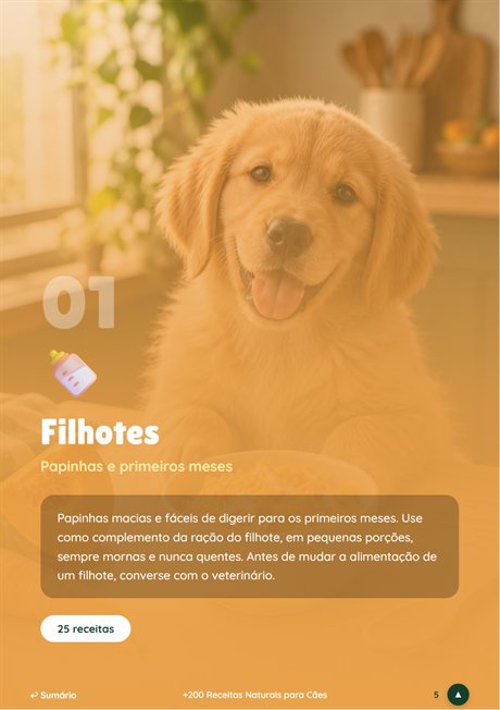 Módulo Filhotes