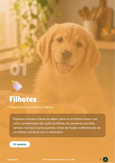 Módulo Filhotes