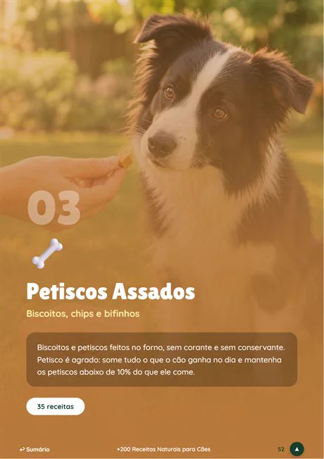 Módulo Petiscos Assados