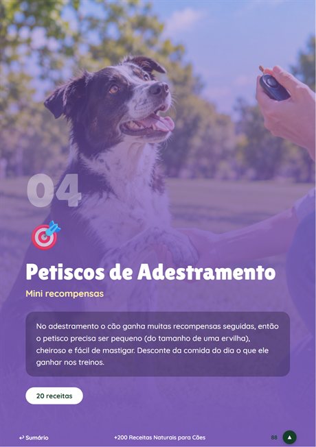 Módulo Petiscos de Adestramento